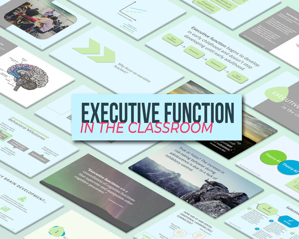 Executive Function in the Classroom
